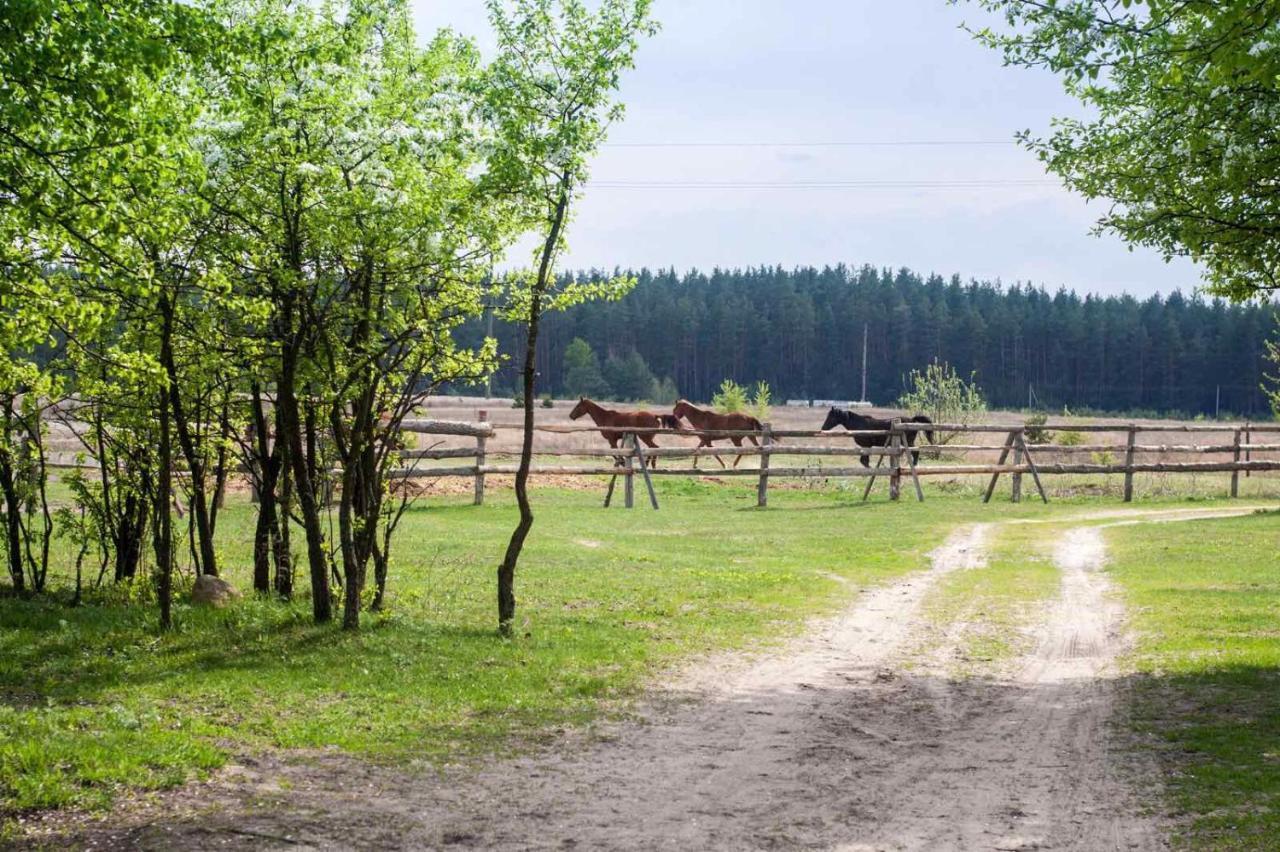 Eco Dom V Lesu Vendégház Bila Krinicja Kültér fotó