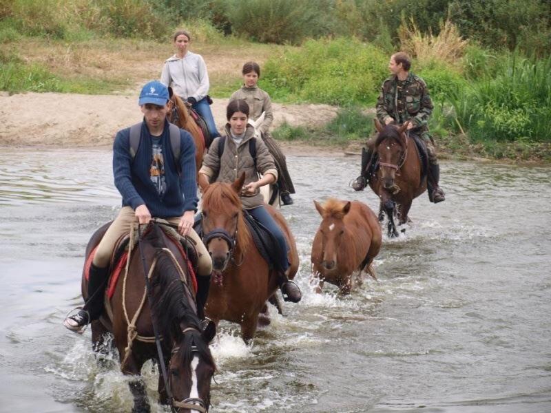 Eco Dom V Lesu Vendégház Bila Krinicja Kültér fotó